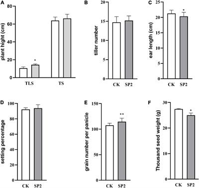 Combining Proteomics and Metabolomics to Analyze the Effects of Spaceflight on Rice Progeny